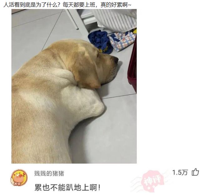图赫尔：比赛越大英格兰越强，但名宿们不买账