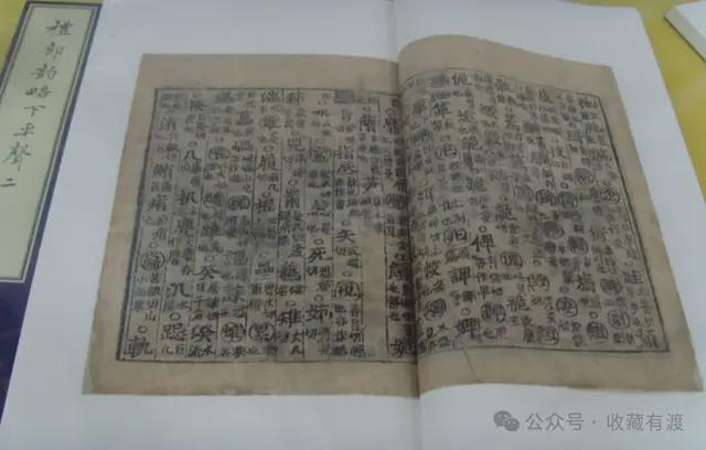 中国金花最新战报！王曦雨首盘2
