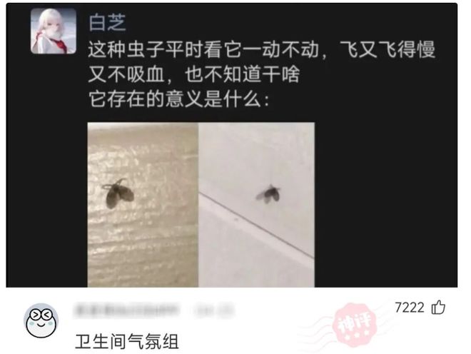图赫尔：比赛越大英格兰越强，但名宿们不买账